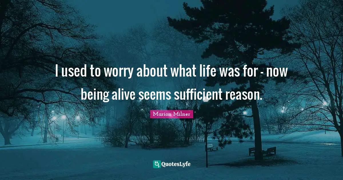 I used to worry about what life was for - now being alive seems sufficient reason.