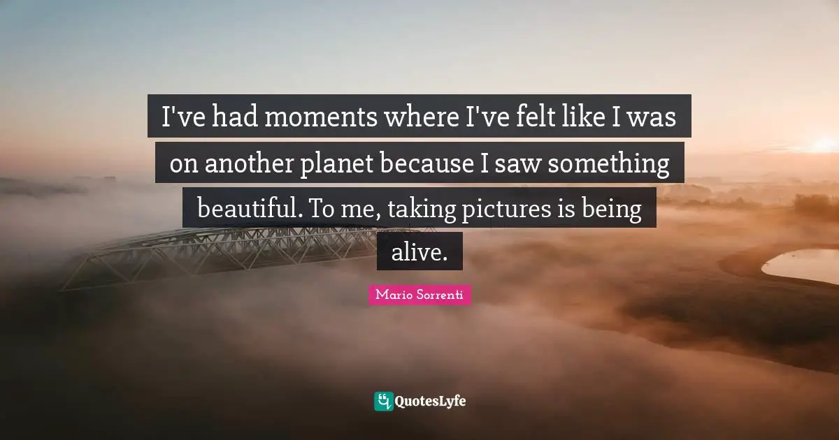 I've had moments where I've felt like I was on another planet because I saw something beautiful. To me, taking pictures is being alive.