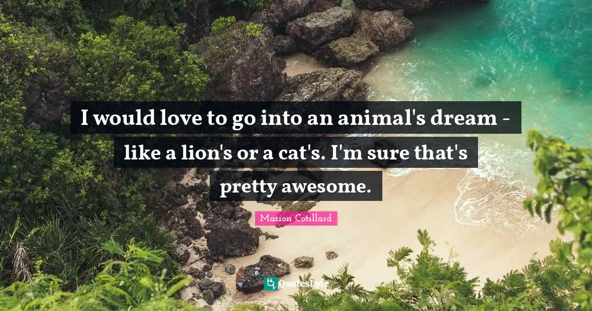 I would love to go into an animal's dream - like a lion's or a cat's. I'm sure that's pretty awesome.