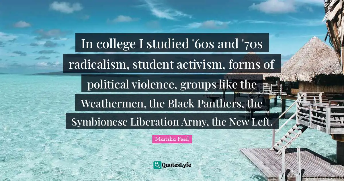 In college I studied '60s and '70s radicalism, student activism, forms of political violence, groups like the Weathermen, the Black Panthers, the Symbionese Liberation Army, the New Left.