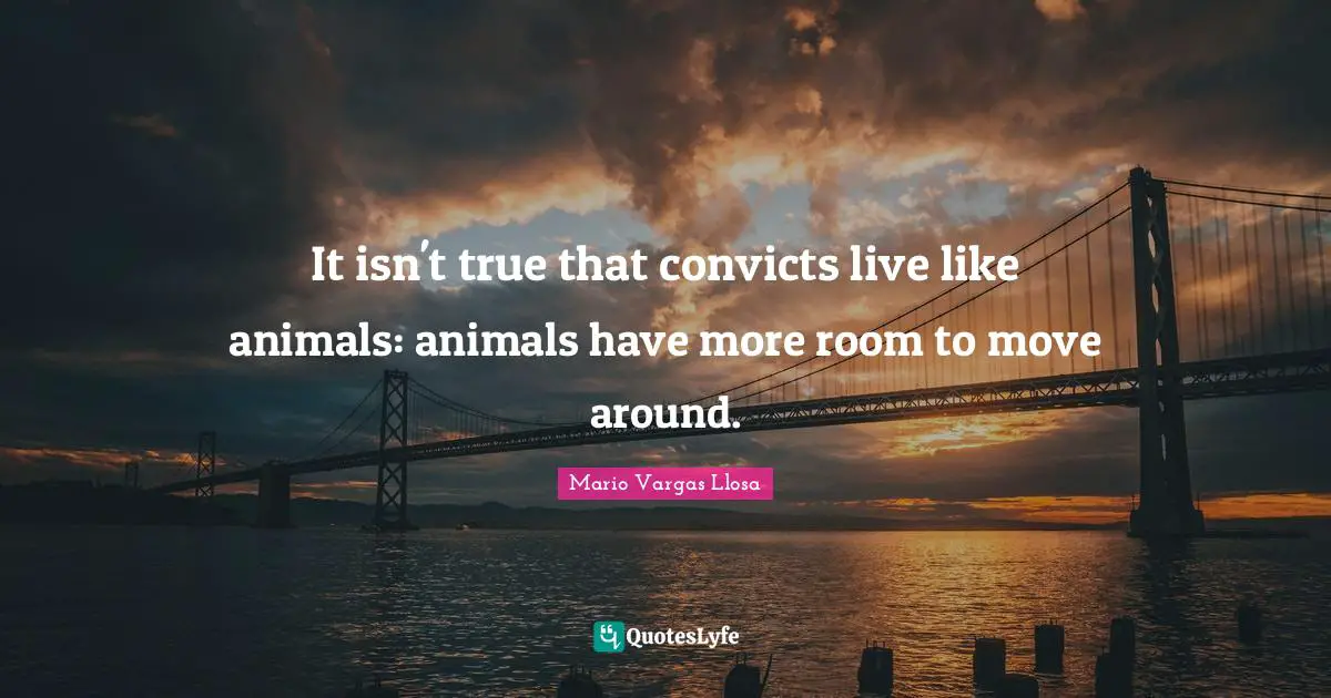 Mario Vargas Llosa Quotes: "It isn't true that convicts live like animals: animals have more room to move around."