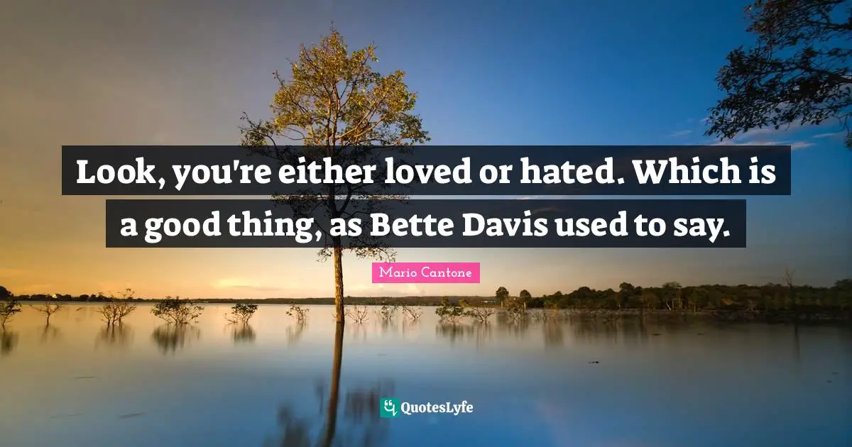 Look, you're either loved or hated. Which is a good thing, as Bette Davis used to say.