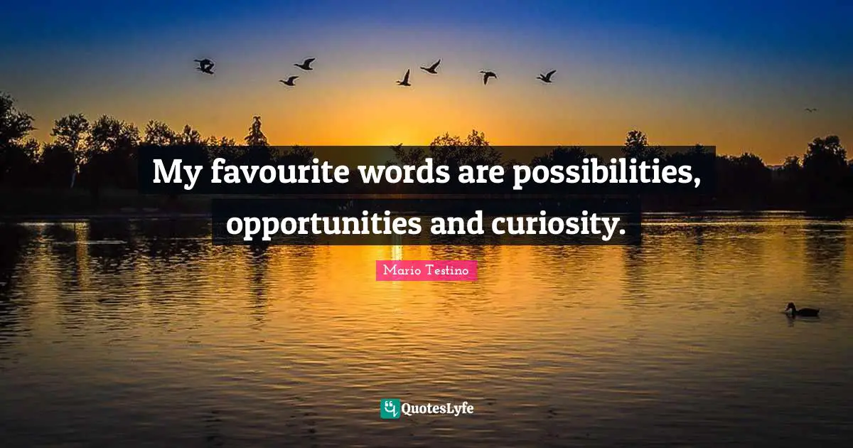 My favourite words are possibilities, opportunities and curiosity.