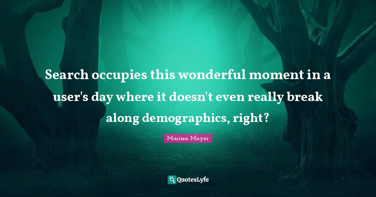 Demographics Quotes: "Search occupies this wonderful moment in a user's day where it doesn't even really break along demographics, right?"