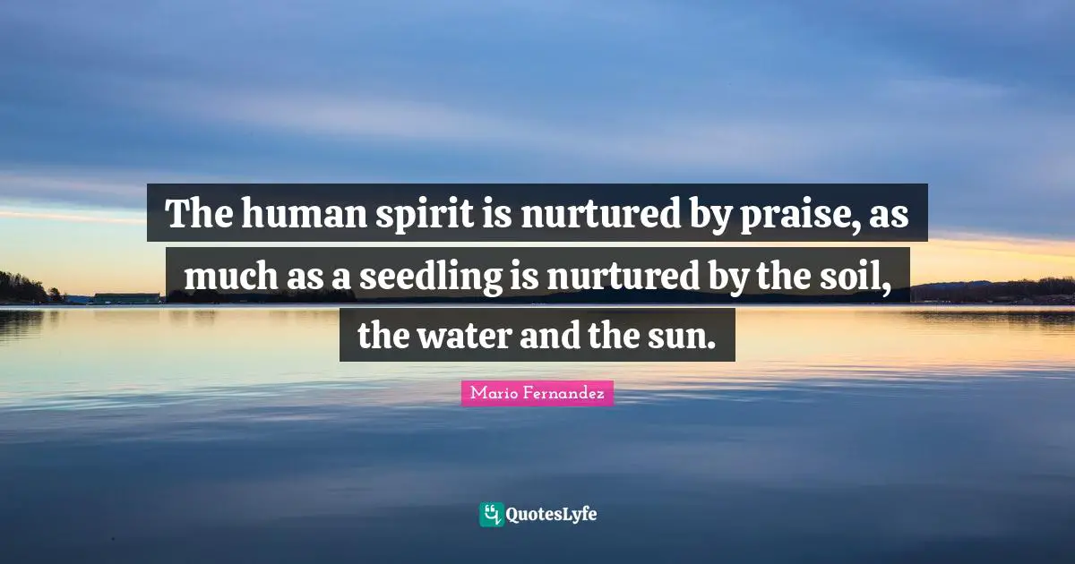 The human spirit is nurtured by praise, as much as a seedling is nurtured by the soil, the water and the sun.