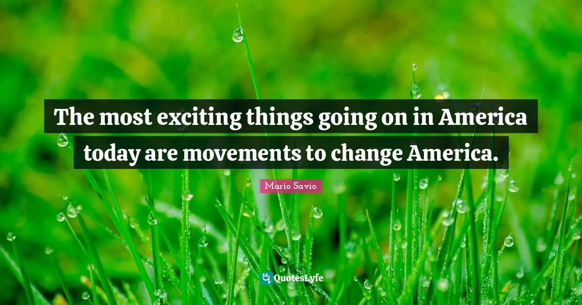 The most exciting things going on in America today are movements to change America.