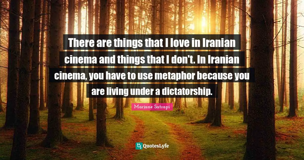 There are things that I love in Iranian cinema and things that I don't. In Iranian cinema, you have to use metaphor because you are living under a dictatorship.