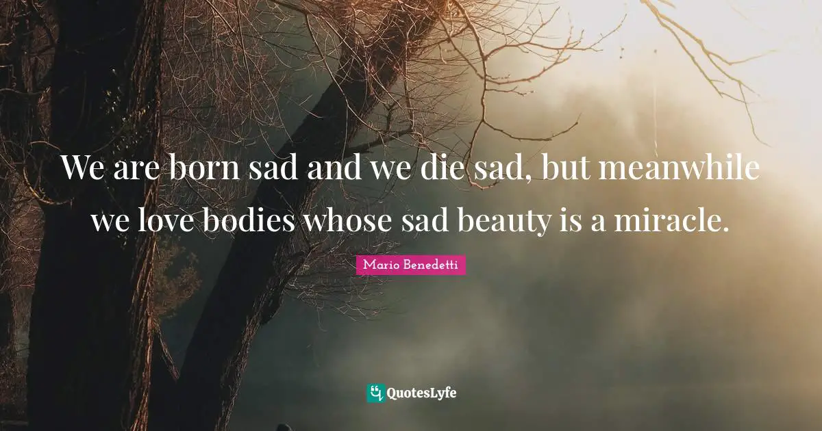 We are born sad and we die sad, but meanwhile we love bodies whose sad beauty is a miracle.