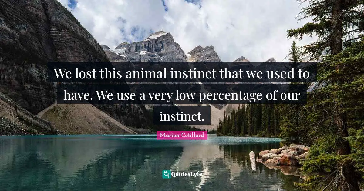 We lost this animal instinct that we used to have. We use a very low percentage of our instinct.