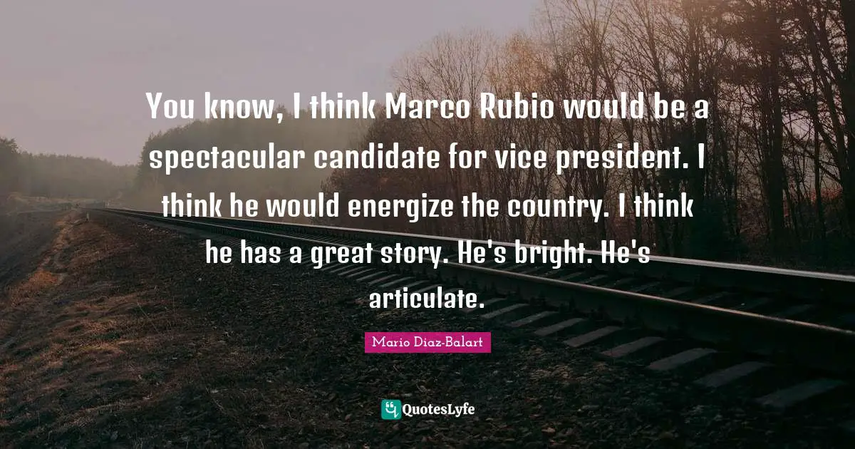 You know, I think Marco Rubio would be a spectacular candidate for vice president. I think he would energize the country. I think he has a great story. He's bright. He's articulate.