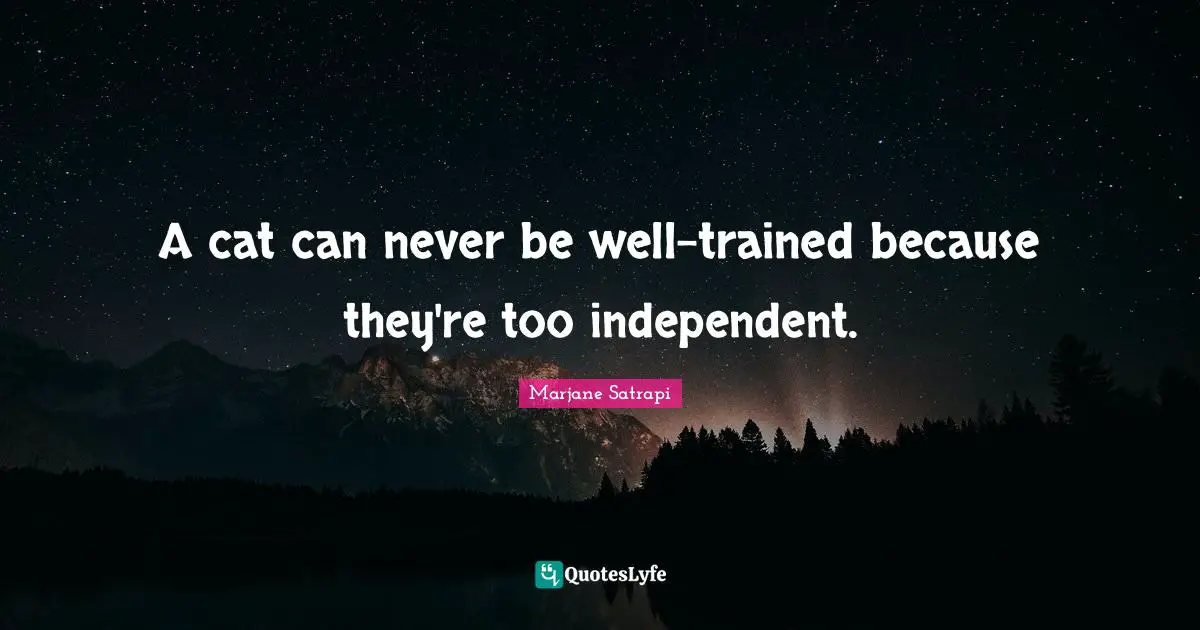 A cat can never be well-trained because they're too independent.