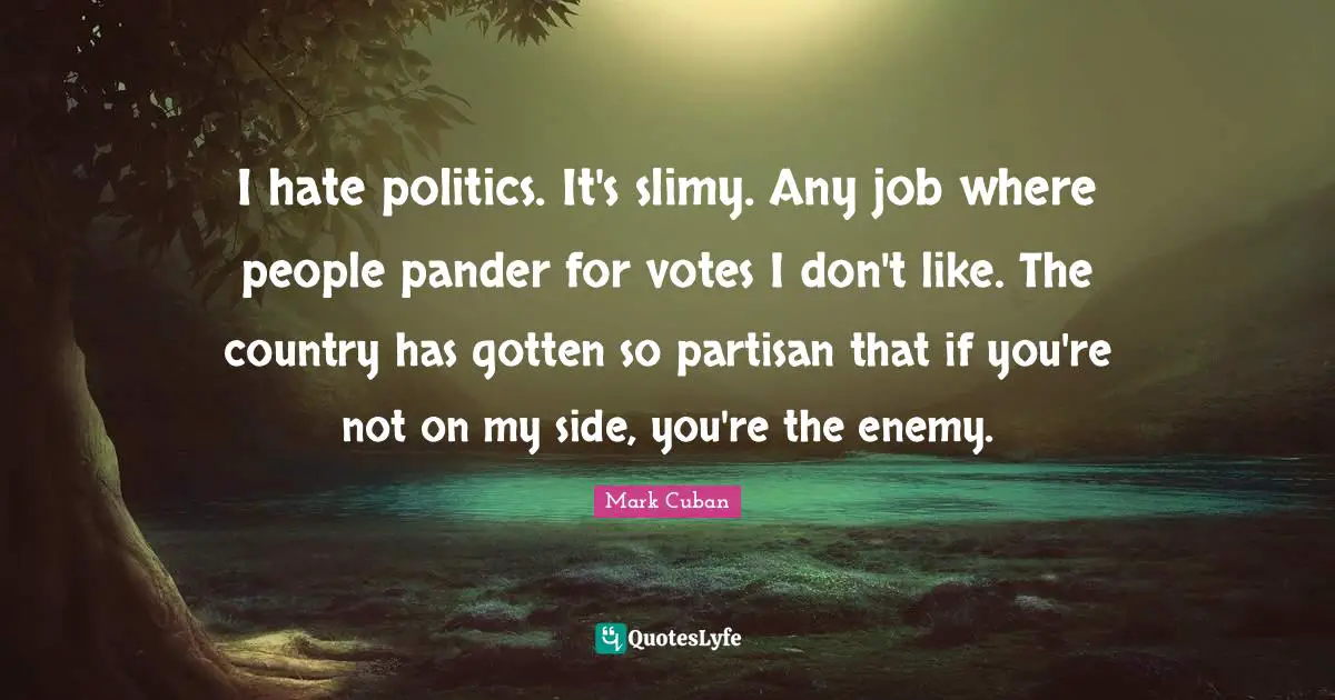 I hate politics. It's slimy. Any job where people pander for votes I don't like. The country has gotten so partisan that if you're not on my side, you're the enemy.