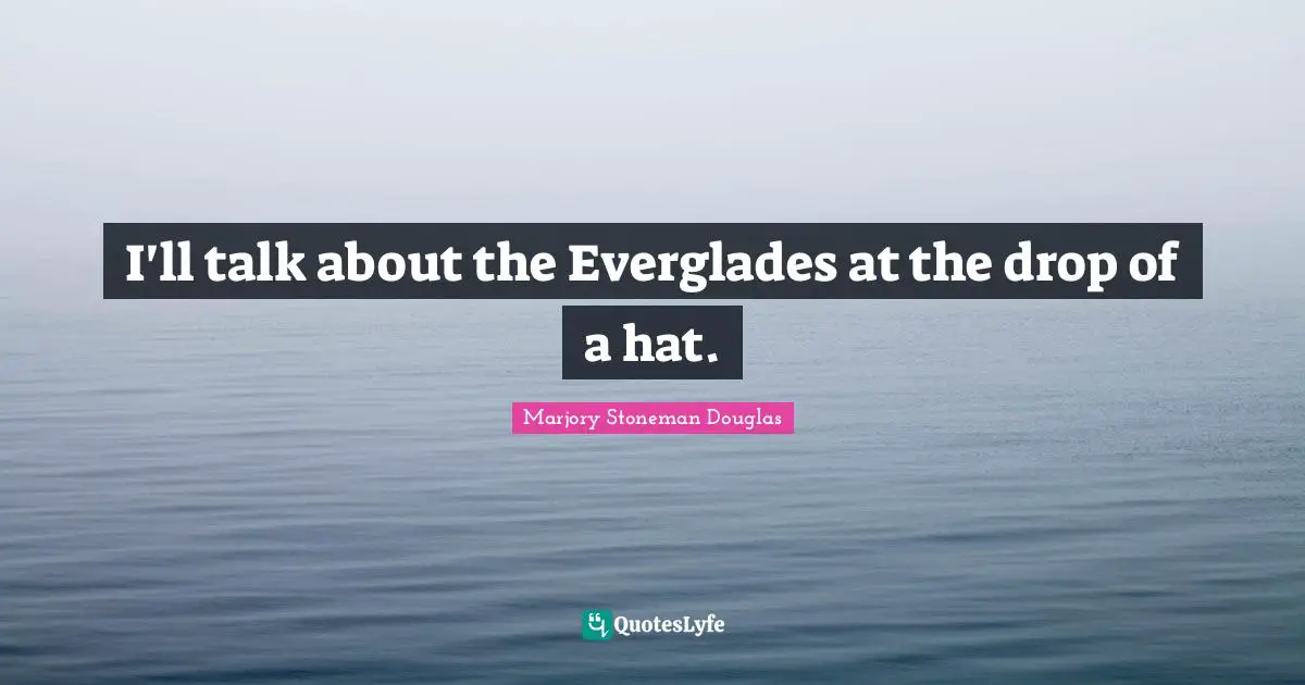 I'll talk about the Everglades at the drop of a hat.