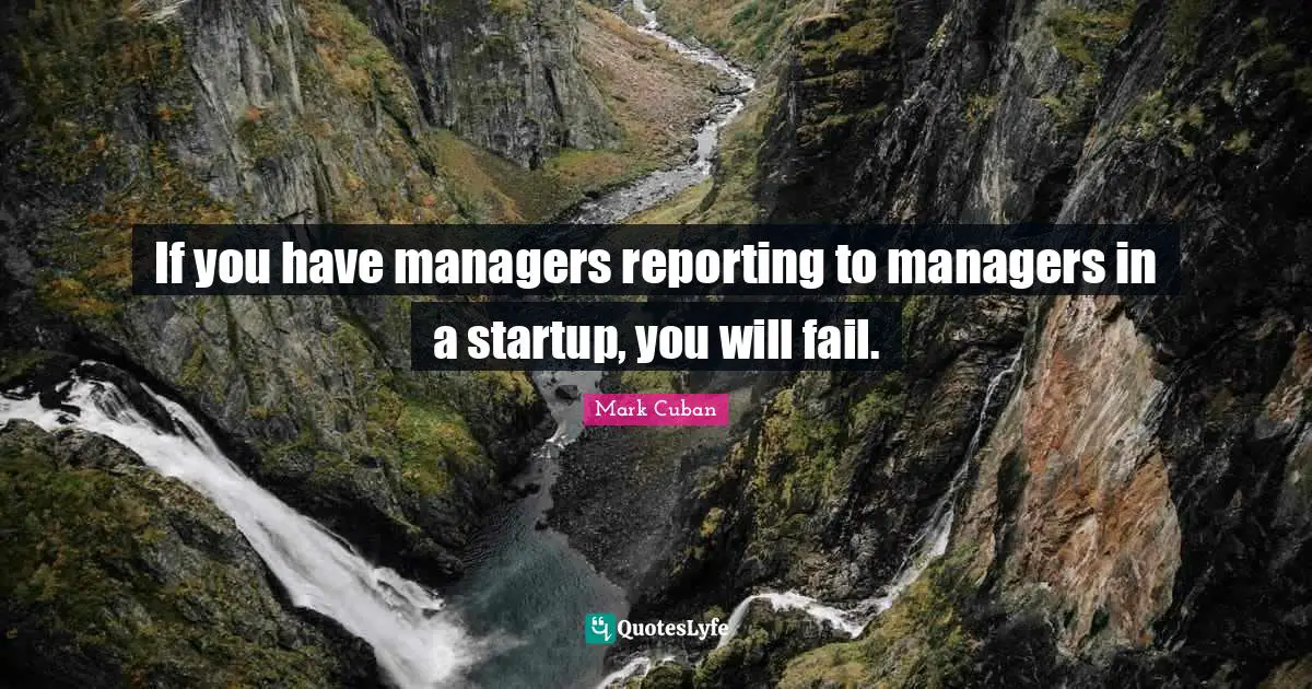 If you have managers reporting to managers in a startup, you will fail.