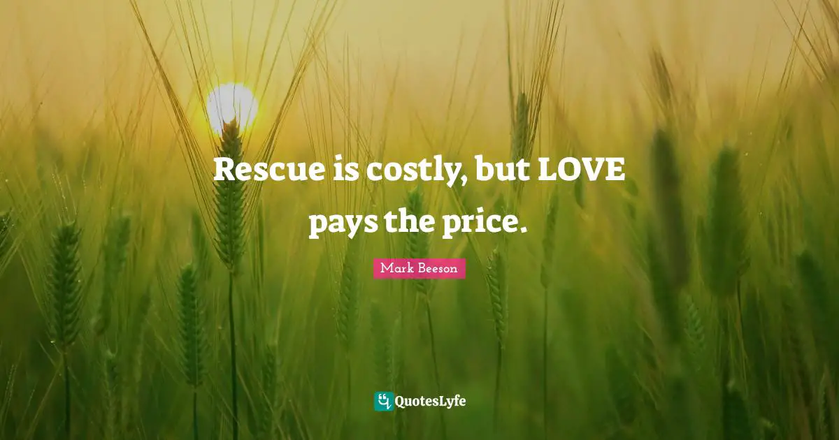 Pay The Price Quotes: "Rescue is costly, but LOVE pays the price."