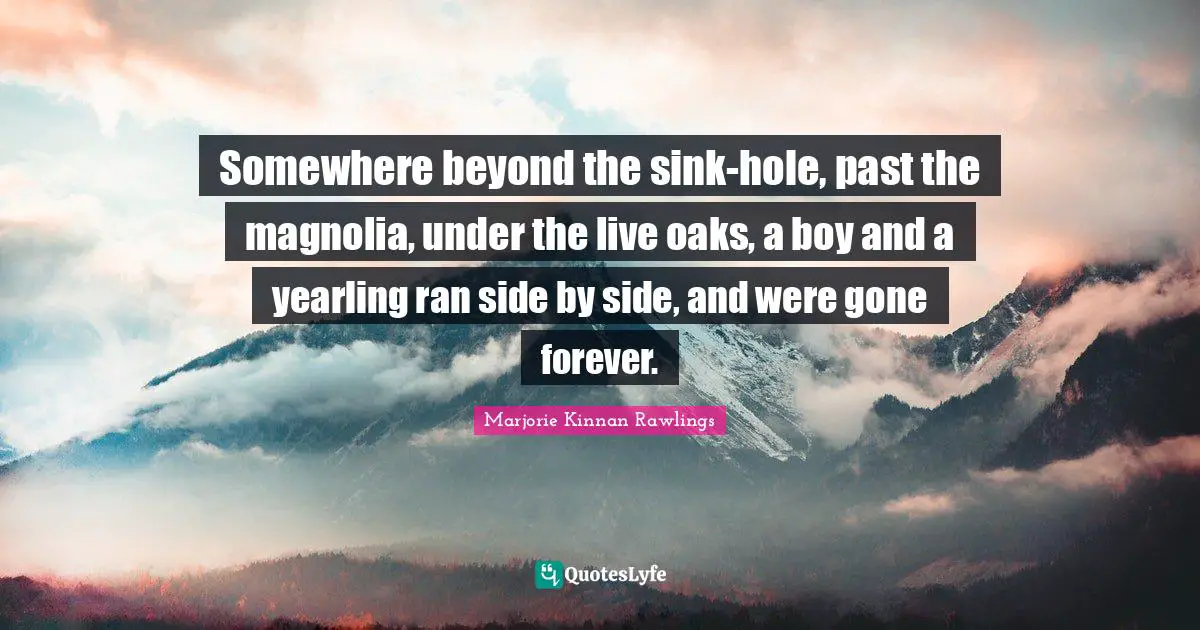 Somewhere beyond the sink-hole, past the magnolia, under the live oaks, a boy and a yearling ran side by side, and were gone forever.