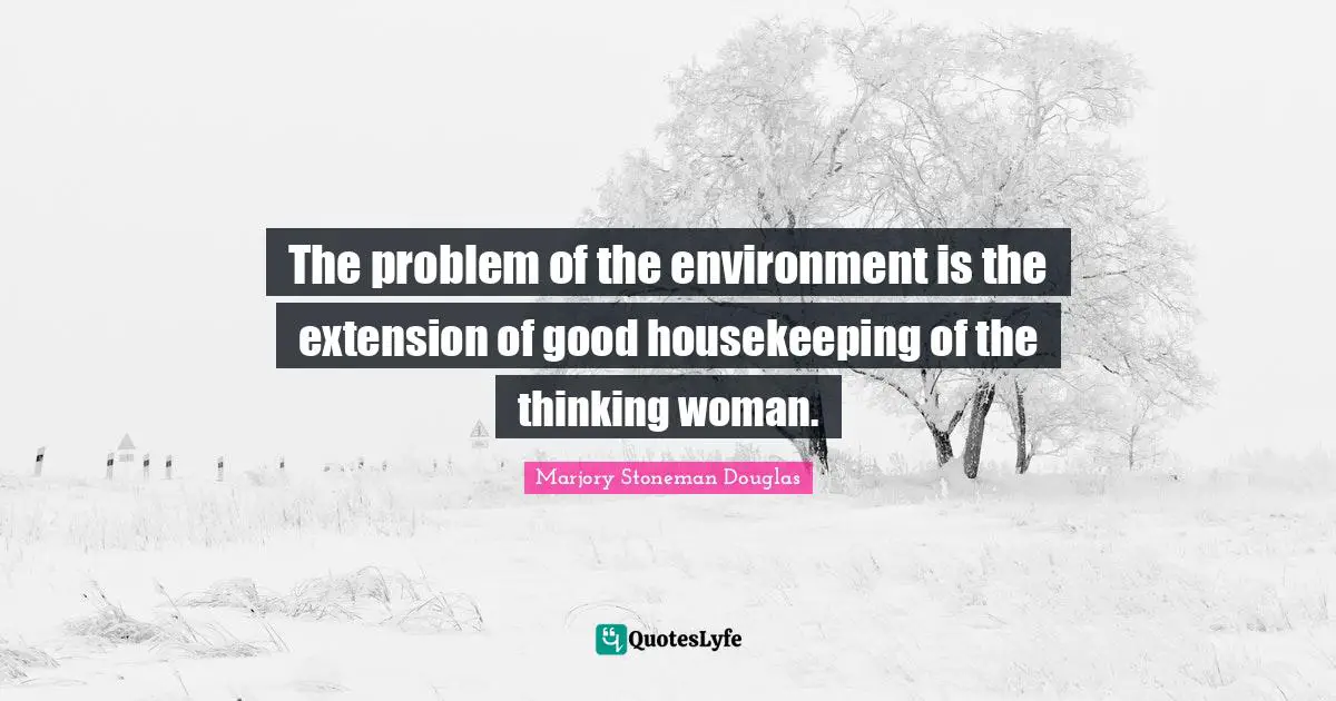 Housekeeping Quotes: "The problem of the environment is the extension of good housekeeping of the thinking woman."