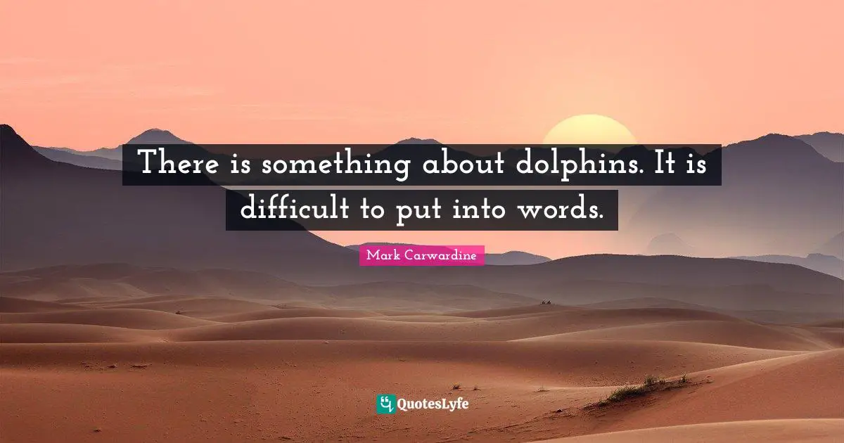 There is something about dolphins. It is difficult to put into words.
