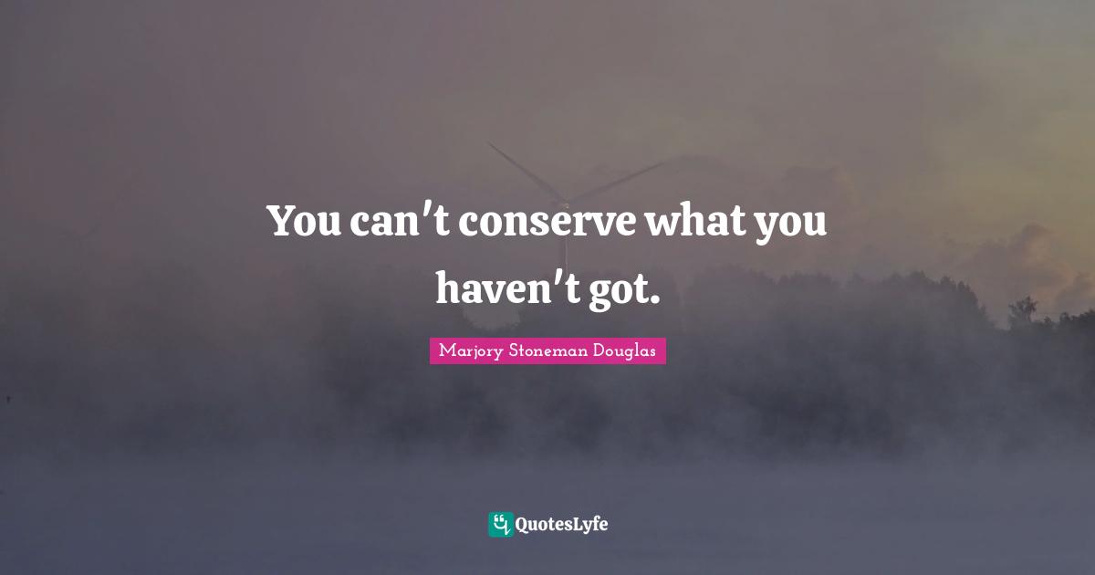 You can't conserve what you haven't got.