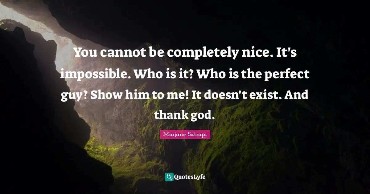 You cannot be completely nice. It's impossible. Who is it? Who is the perfect guy? Show him to me! It doesn't exist. And thank god.