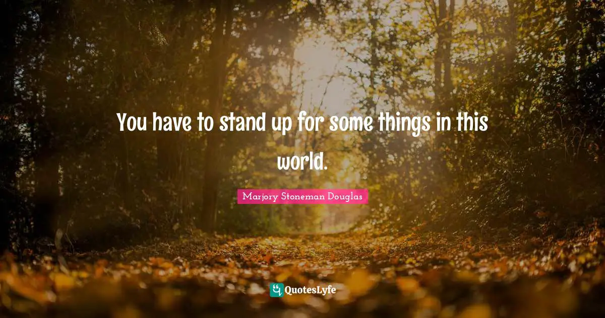 You have to stand up for some things in this world.