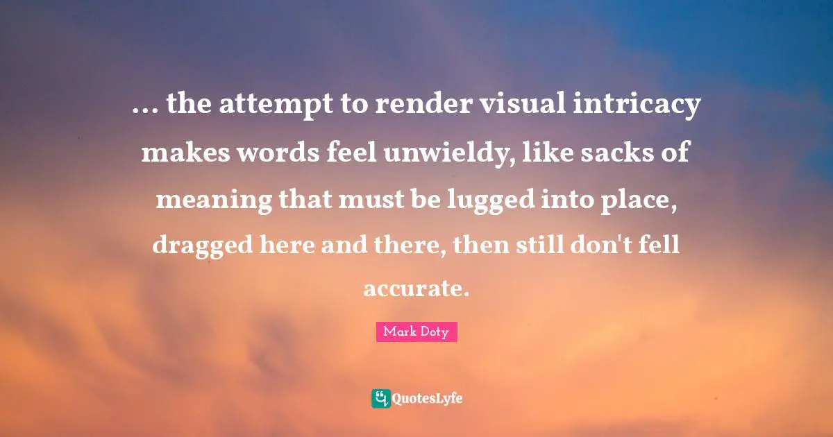 ... the attempt to render visual intricacy makes words feel unwieldy, like sacks of meaning that must be lugged into place, dragged here and there, then still don't fell accurate.
