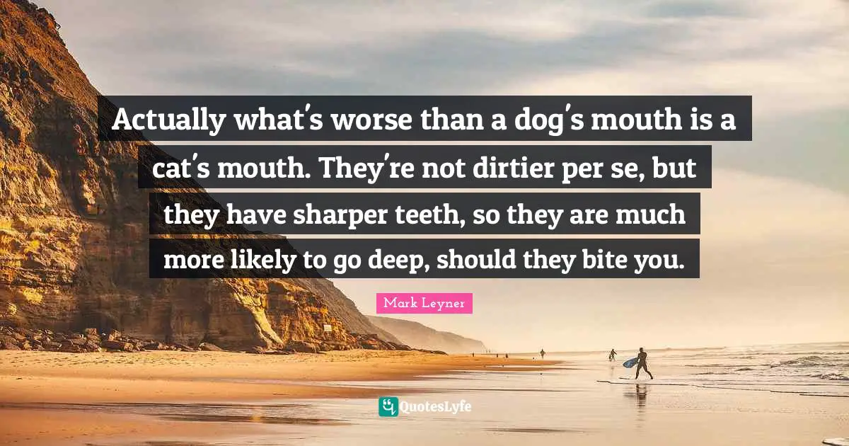 Actually what's worse than a dog's mouth is a cat's mouth. They're not dirtier per se, but they have sharper teeth, so they are much more likely to go deep, should they bite you.