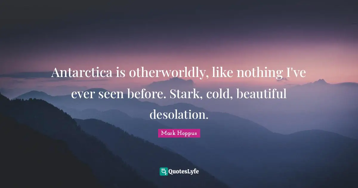 Antarctica is otherworldly, like nothing I've ever seen before. Stark, cold, beautiful desolation.