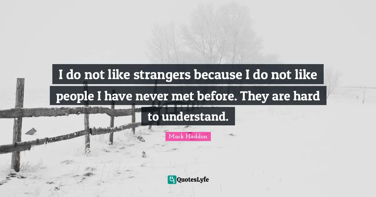 I do not like strangers because I do not like people I have never met before. They are hard to understand.