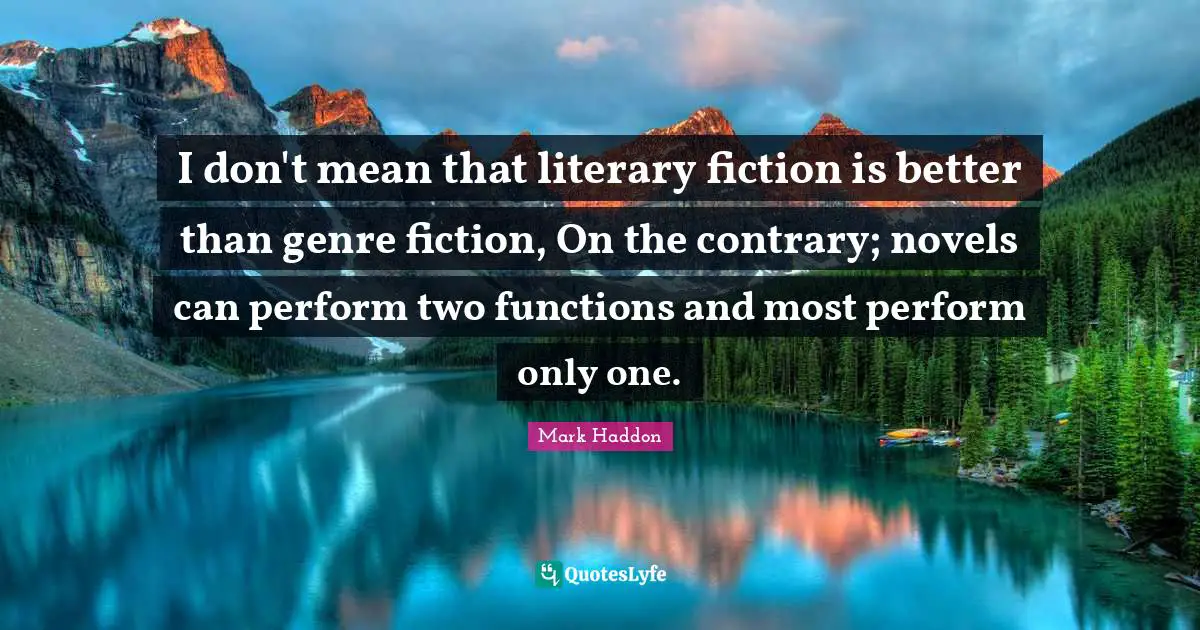 I don't mean that literary fiction is better than genre fiction, On the contrary; novels can perform two functions and most perform only one.