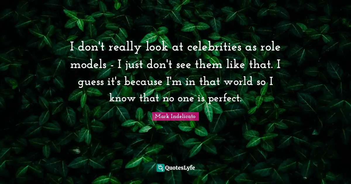 I don't really look at celebrities as role models - I just don't see them like that. I guess it's because I'm in that world so I know that no one is perfect.