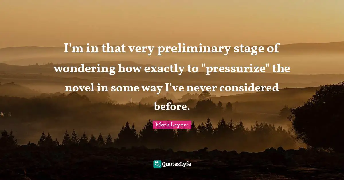 I'm in that very preliminary stage of wondering how exactly to "pressurize" the novel in some way I've never considered before.