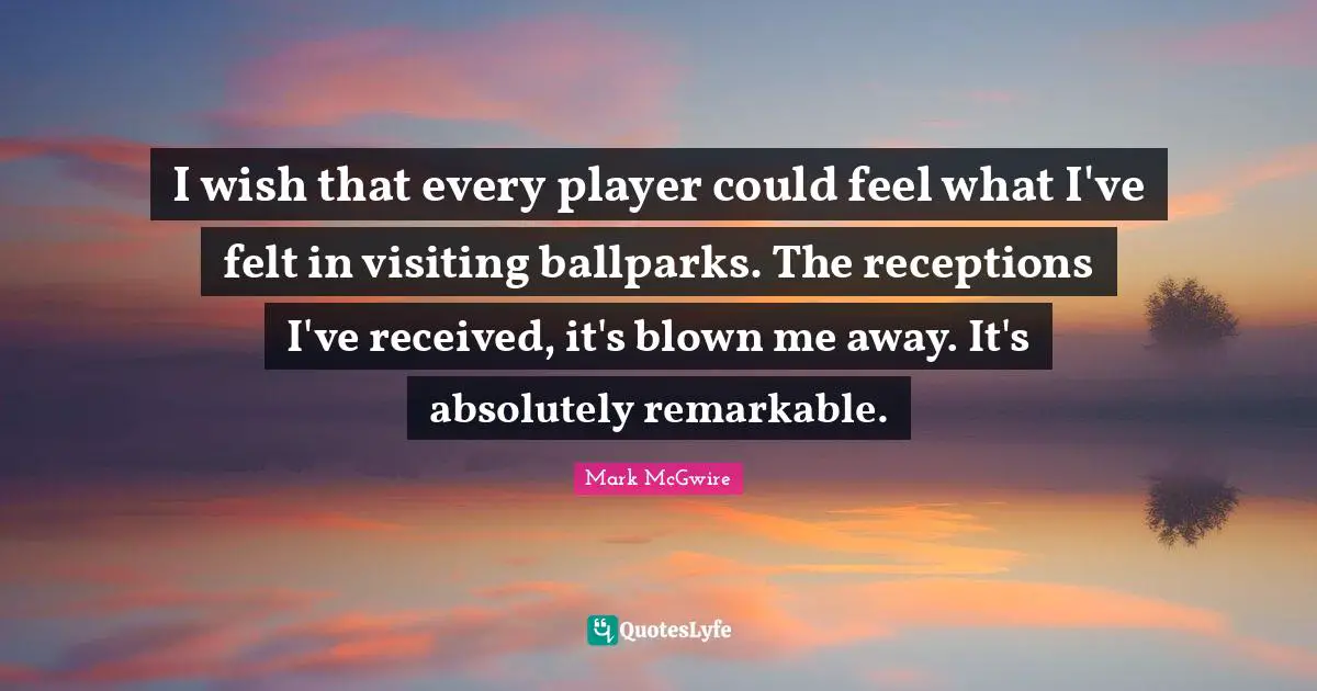 I wish that every player could feel what I've felt in visiting ballparks. The receptions I've received, it's blown me away. It's absolutely remarkable.