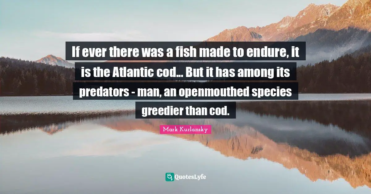 If ever there was a fish made to endure, it is the Atlantic cod... But it has among its predators - man, an openmouthed species greedier than cod.