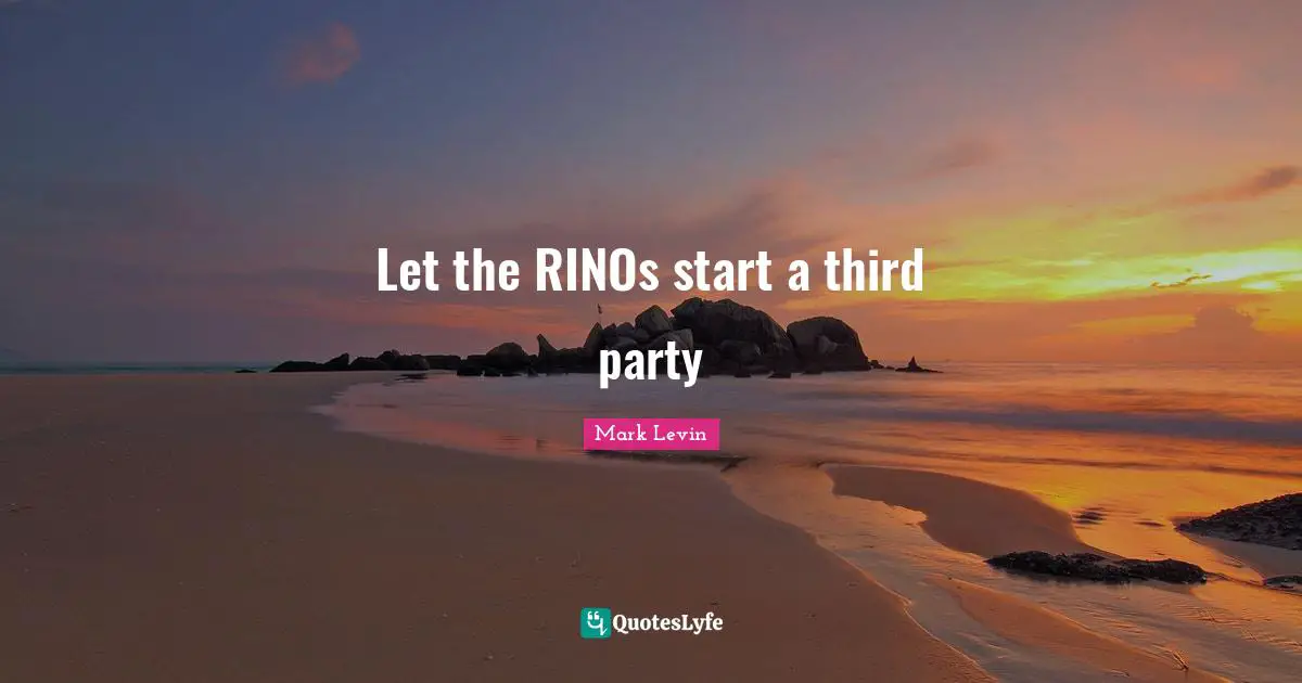Let the RINOs start a third party