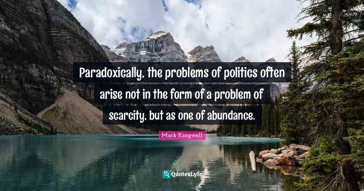 Paradoxically, the problems of politics often arise not in the form of a problem of scarcity, but as one of abundance.