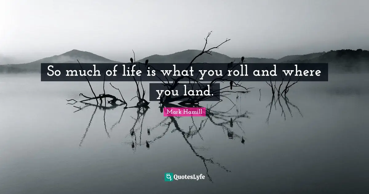 So much of life is what you roll and where you land.