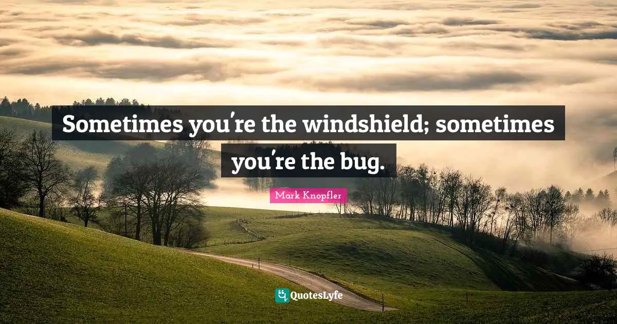 Sometimes you're the windshield; sometimes you're the bug.