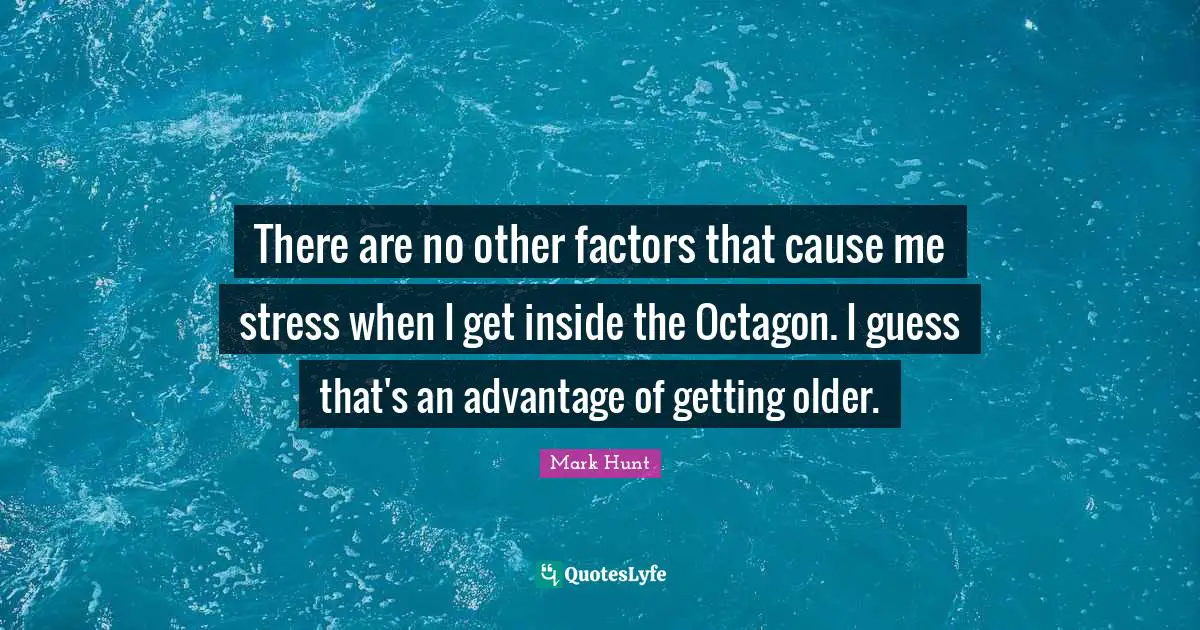 There are no other factors that cause me stress when I get inside the Octagon. I guess that's an advantage of getting older.