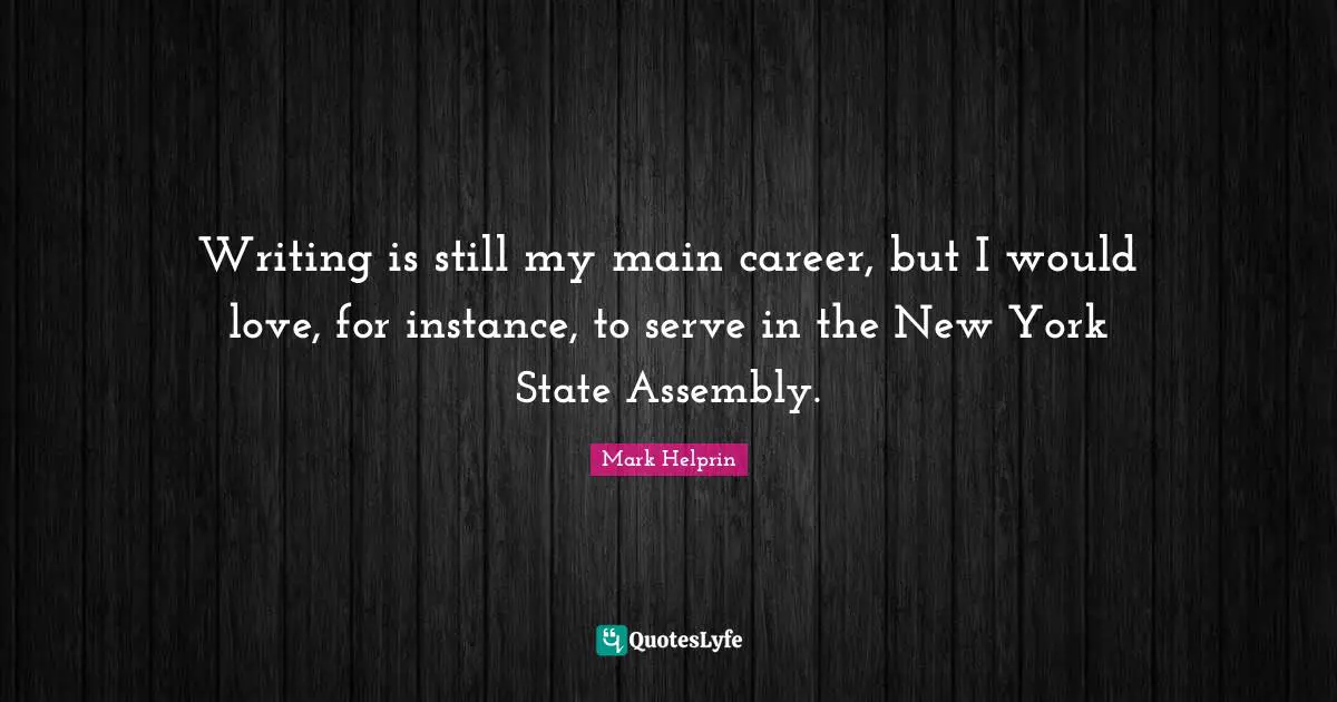 Writing is still my main career, but I would love, for instance, to serve in the New York State Assembly.