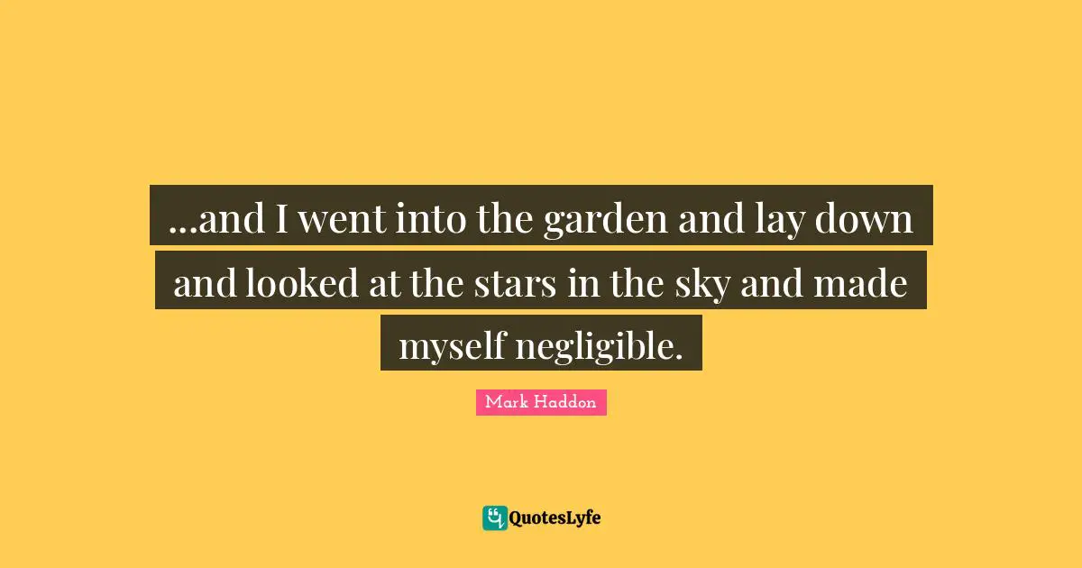 ...and I went into the garden and lay down and looked at the stars in the sky and made myself negligible.