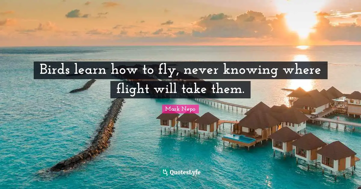 Mark Nepo Quotes: "Birds learn how to fly, never knowing where flight will take them."