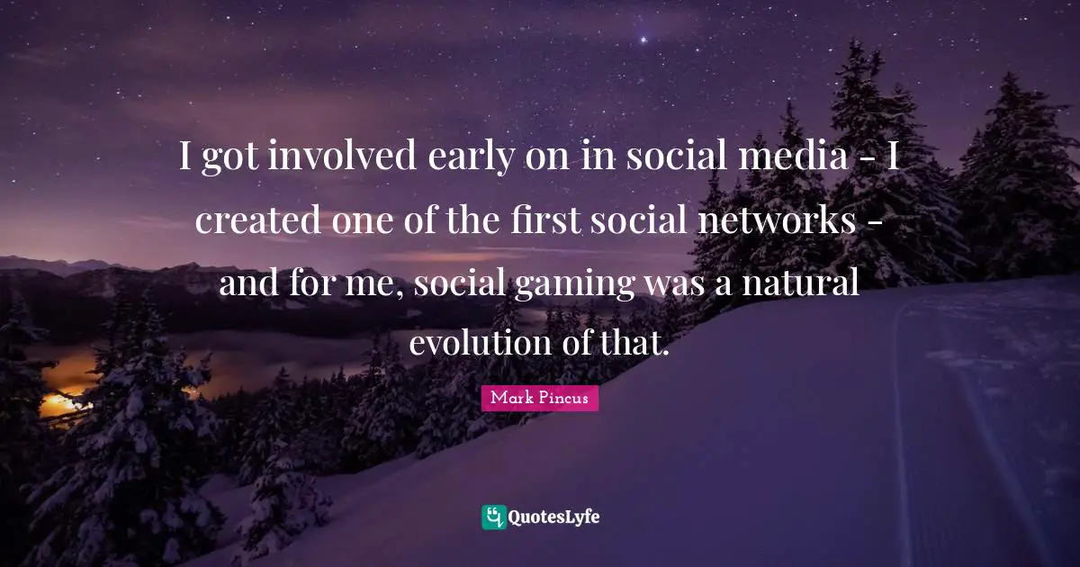 I got involved early on in social media - I created one of the first social networks - and for me, social gaming was a natural evolution of that.
