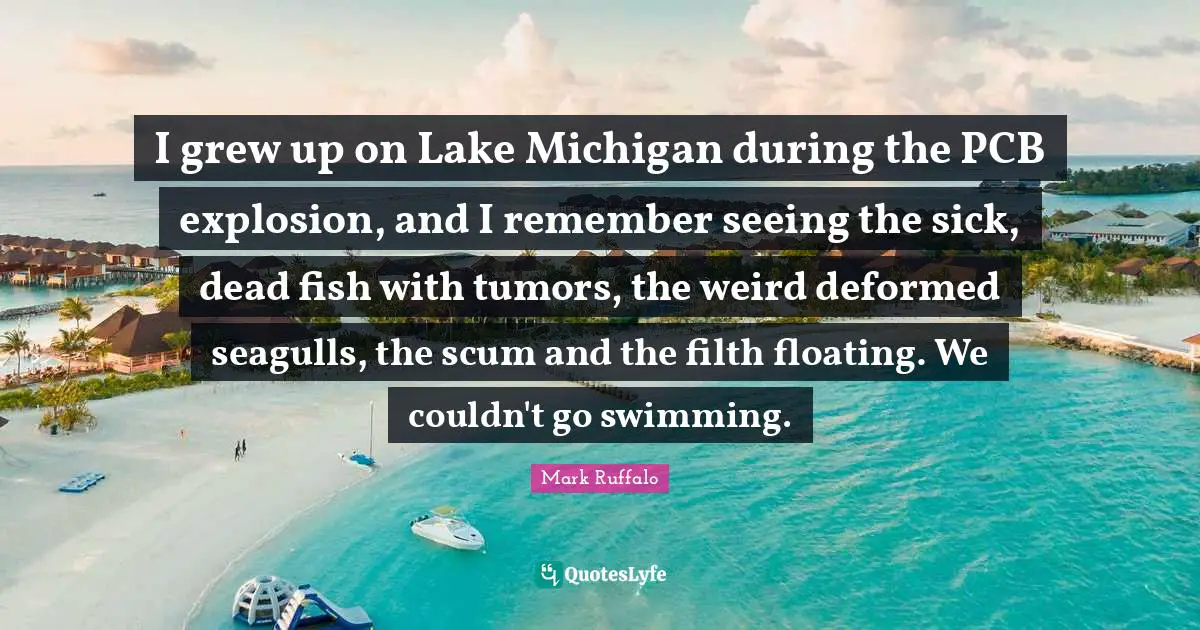 I grew up on Lake Michigan during the PCB explosion, and I remember seeing the sick, dead fish with tumors, the weird deformed seagulls, the scum and the filth floating. We couldn't go swimming.
