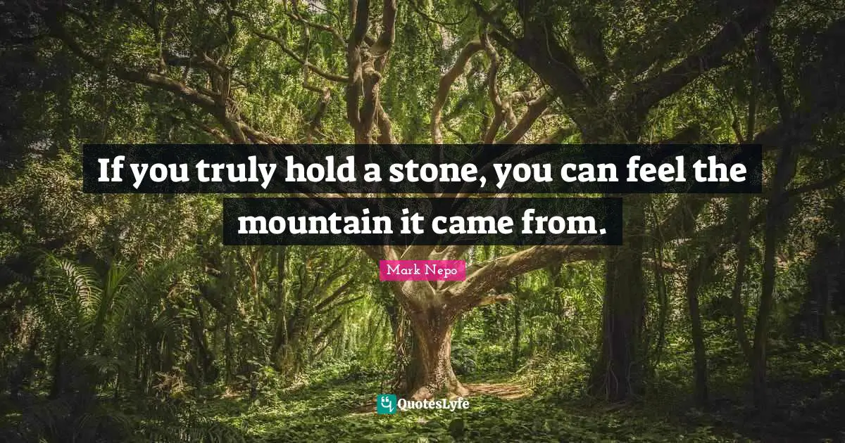 Mark Nepo Quotes: "If you truly hold a stone, you can feel the mountain it came from."