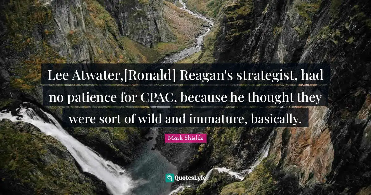 Lee Atwater,[Ronald] Reagan's strategist, had no patience for CPAC, because he thought they were sort of wild and immature, basically.