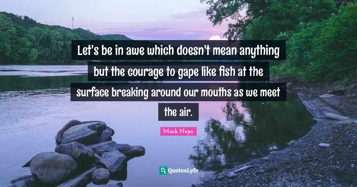 Mark Nepo Quotes: "Let's be in awe which doesn't mean anything but the courage to gape like fish at the surface breaking around our mouths as we meet the air."