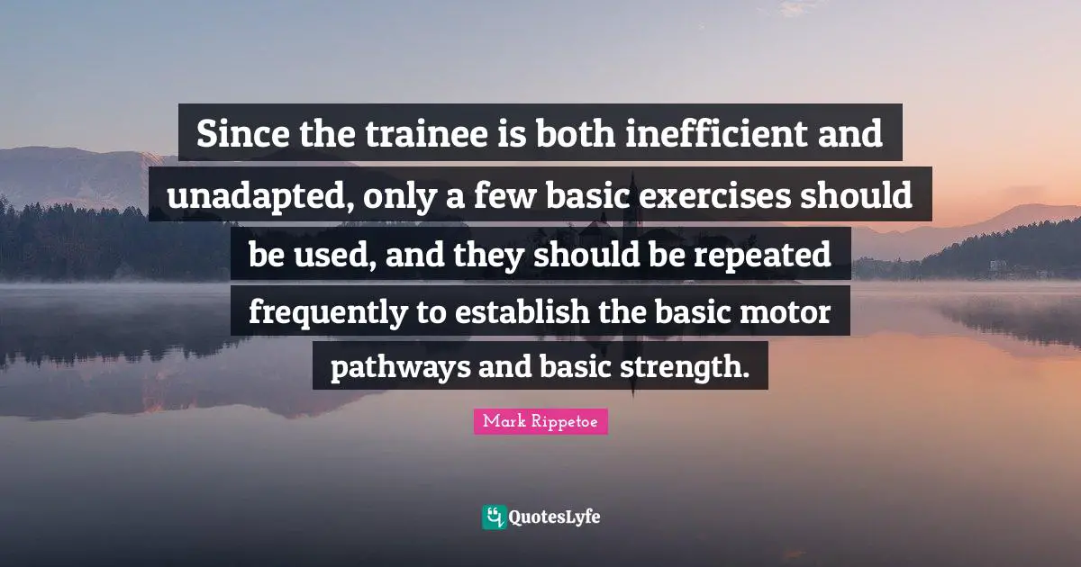 Since the trainee is both inefficient and unadapted, only a few basic exercises should be used, and they should be repeated frequently to establish the basic motor pathways and basic strength.