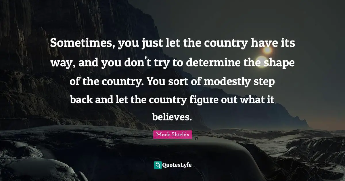 Sometimes, you just let the country have its way, and you don't try to determine the shape of the country. You sort of modestly step back and let the country figure out what it believes.