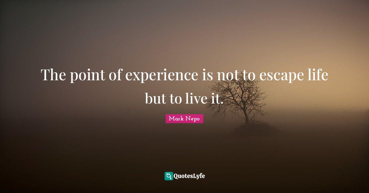 The point of experience is not to escape life but to live it.